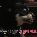 오일육 이미지