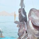 피싱랜드 이미지