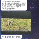 플릇사랑 | [대구플룻레슨/칸타빌레 플루트] 대구플루트레슨 사랑 듬뿍 레슨 후기들입니다♥