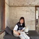 어몽 니트조끼 A FLOWER SEED VEST 여자 간절기 베스트