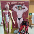 야루정