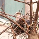 고읍농장 이미지