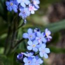 안양자동차검사소 이미지