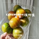 대저 짭짤이 토마토 제철 산지직송 수키네 배송후기