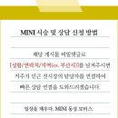 123모터스 이미지