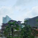 차이나 앤 푸드 이미지