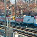 H7976 네이버블로그