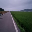 신망목장 이미지