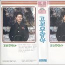 얄개비디오 이미지