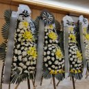 경상북도포항의료원 이미지