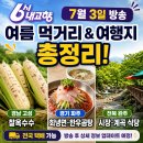 도깨비계곡산장 | 6시 내고향 7월 3일 방송정보 총정리｜경남 고성 찰옥수수·파주 회냉면·완주 계곡 맛집
