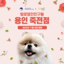 동물친구들 애견미용실 이미지