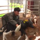 부부한우목장 이미지