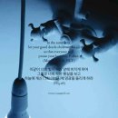 대성카브레타 이미지