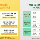 나랑노랑 이미지