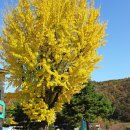 진안군성수면보건지소 이미지