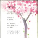 청호집 Daum카페