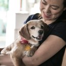 협동동물병원 이미지