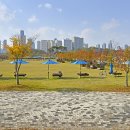 도심공원 이미지