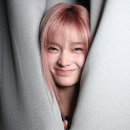 이로하니 이미지
