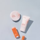 썬라이트코리아 이미지