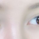 아니스 속눈썹