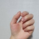 망고디자인 | 나트랑 망고 네일 : 가격•청결•디자인 솔직후기