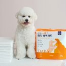 에이치비케이 이미지