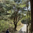 칠성목장 이미지