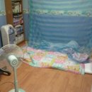 구월1동-31 이미지