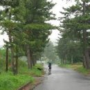 並木の雨 / 五木ひろし 이미지