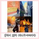 주식회사 시루정보 | 상하이 3박4일여행 &amp; 준비물들(ft.하나투어패키지) 25.11.20-23