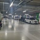 메디칼 세븐(7) 이미지