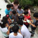 화순초 이서분교 이미지