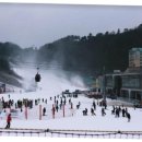 비발디파크렌탈샵클럽나인 이미지