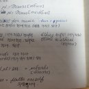 대지당구장 Daum카페