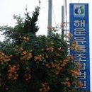 갑수농장 Daum카페