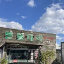 돈골대가 이미지