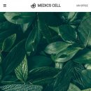 미르메딕스 이미지