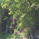 모골식당 이미지