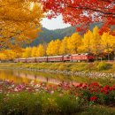 동악산한우 이미지