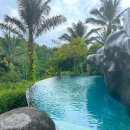 티리조트2 이미지