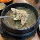 초애 | 고양 원당 맛집, n번째 방문하는 초애삼계탕 내돈내산 후기