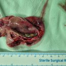 새천년 내과의원 이미지