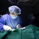 정든동물병원 이미지