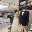 웨딩박람회비교 - 코엑스결혼박람회, 아이니웨딩박람회, 다이렉트웨딩박람회, 플랜온웨딩박람회 방문 후기