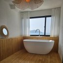 스테이 아담 이미지