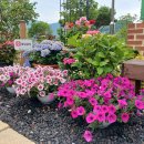 해남군-06 이미지