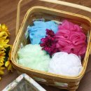 월드목욕탕 이미지