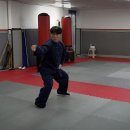 팔극무관(우슈) 이미지